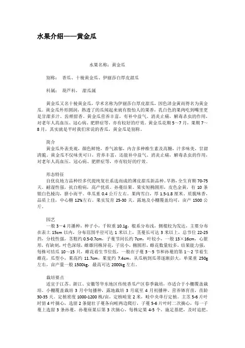 水果介绍黄金瓜