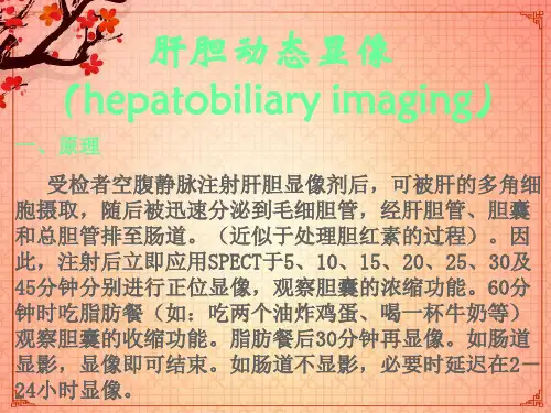 肝胆动态显像  ppt课件