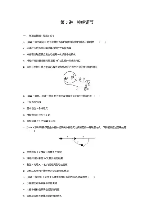 2020年高考生物同步练习：神经调节