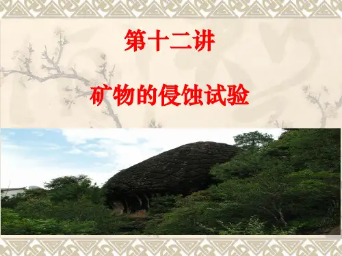 12-矿物的侵蚀试验