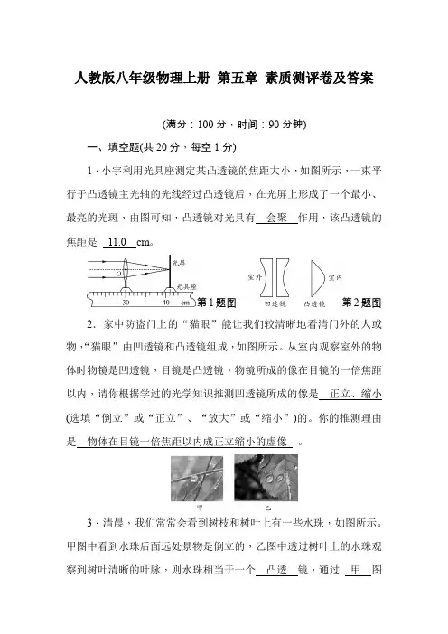 人教版八年级物理上册 第五章 素质测评卷及答案
