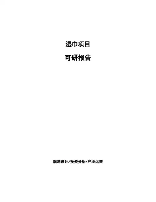 湿巾项目可研报告