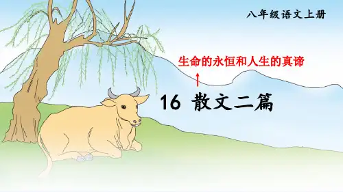 部编人教版八年级语文上册第16课《散文二篇》优质课件【最新】