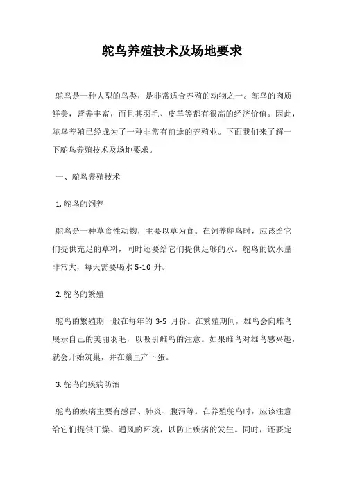 鸵鸟养殖技术及场地要求