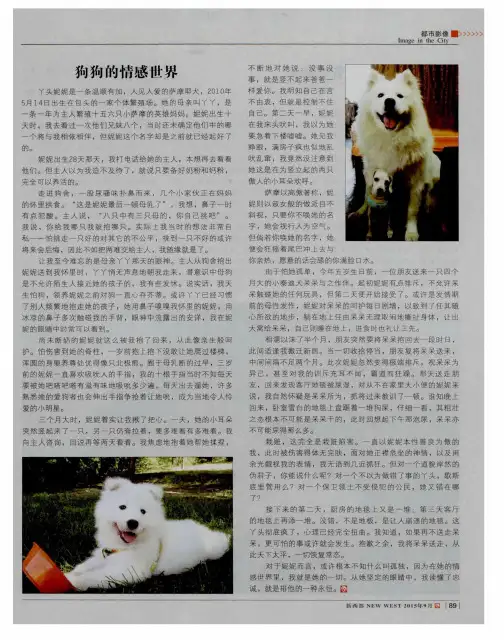 狗狗的情感世界
