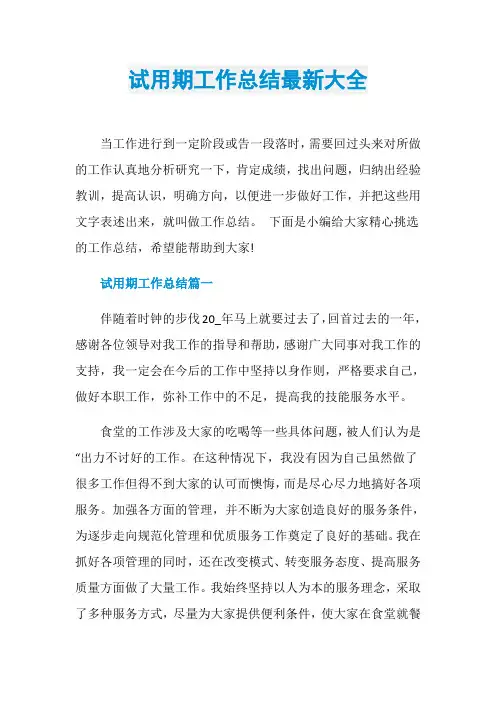 试用期工作总结最新大全