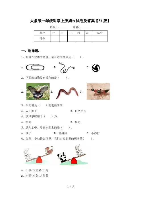 大象版一年级科学上册期末试卷及答案【A4版】