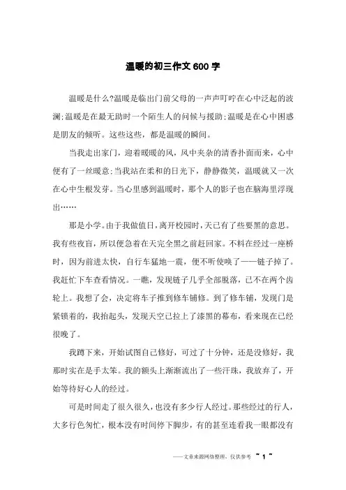 温暖的初三作文600字