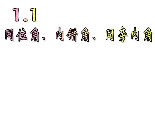 1.1同位角,内错角,同旁内角