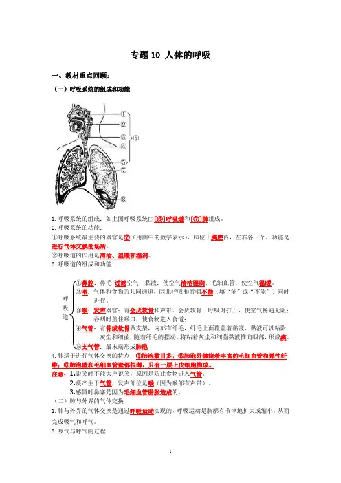 人教版生物中考一轮复习：人体的呼吸(解析版)