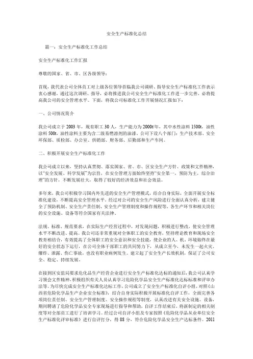 安全生产标准化总结.doc