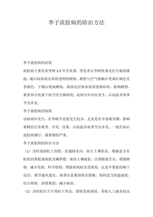 李子流胶病的防治方法