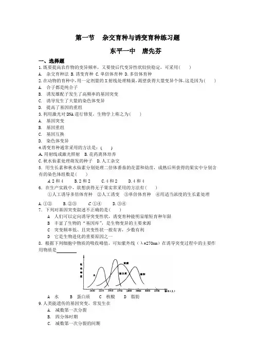 第1节杂交育种与诱变育种练习题