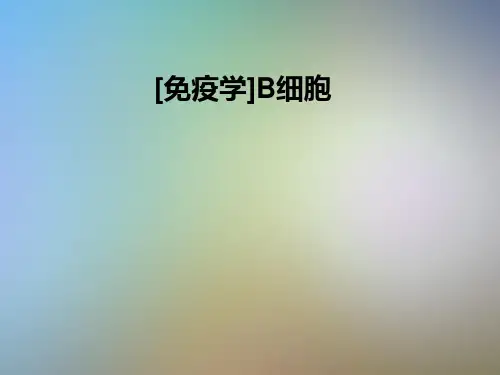 [免疫学]B细胞