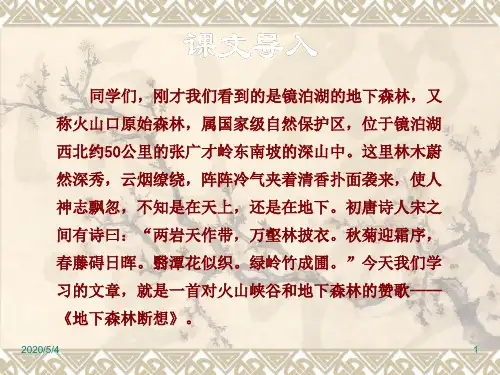 部编人教版九年级语文下册精品课件11.地下森林断想