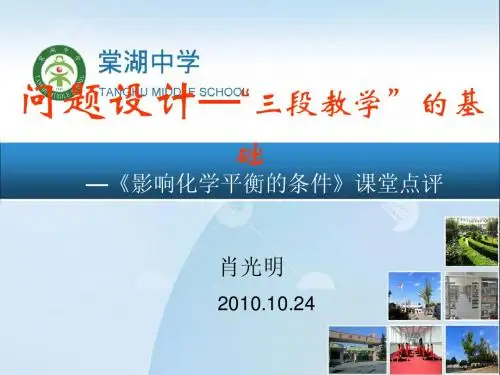 影响化学平衡的条件课堂点评