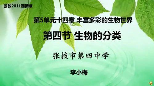 第四节生物的分类 (2)