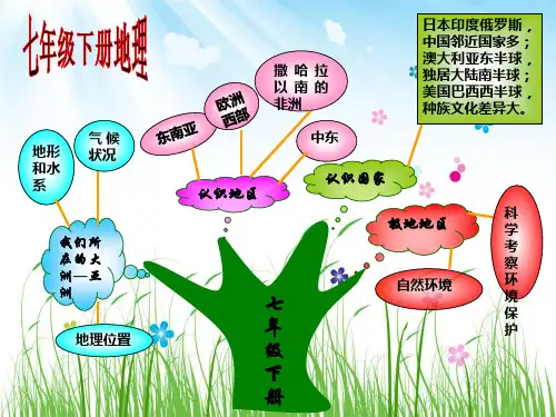 七年级下册地理知识树