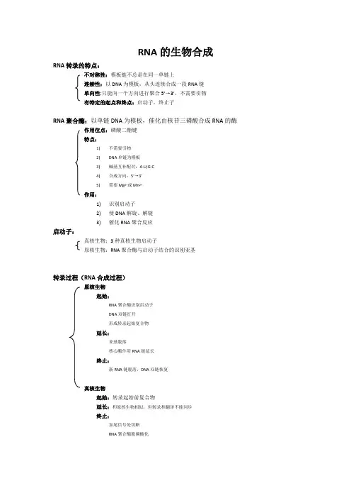RNA的生物合成总结