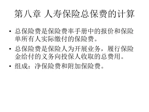 总保费与附加保险费的计算