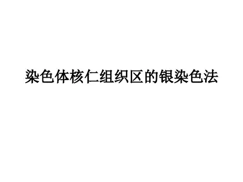 实验七 染色体核仁组织区的银染色法