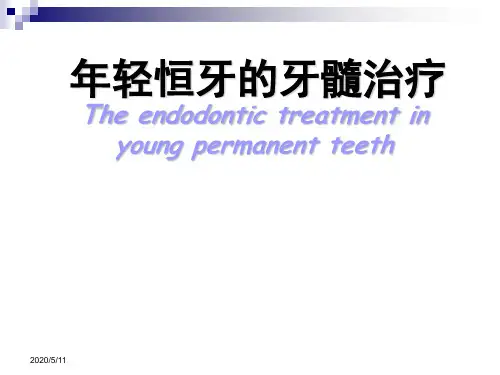 年轻恒牙的牙髓治疗