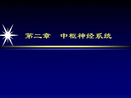 中枢神经系统医学影像诊断学PPT课件