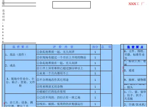 5S 巡查标准