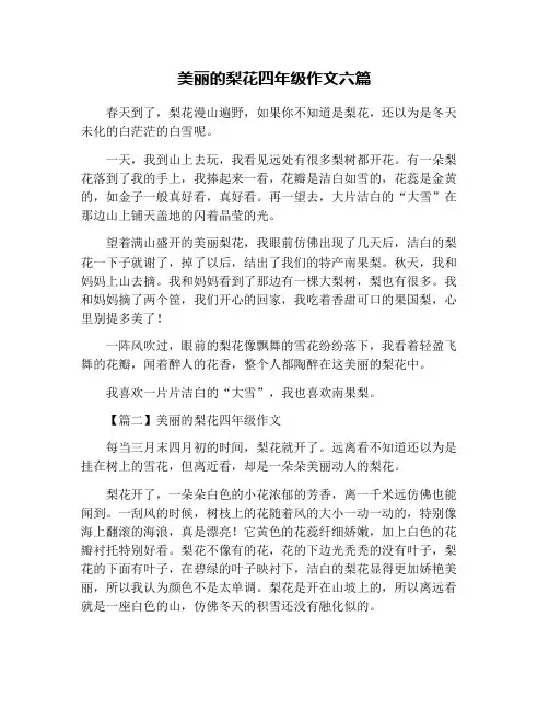 美丽的梨花四年级作文六篇
