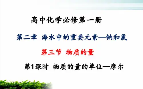新教材高中化学《物质的量》PPT公开课课件1