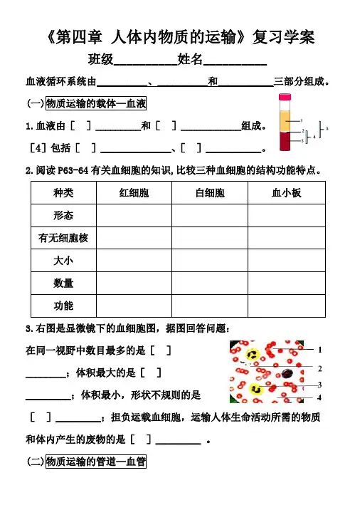 《第四章人体内物质的运输》复习学案