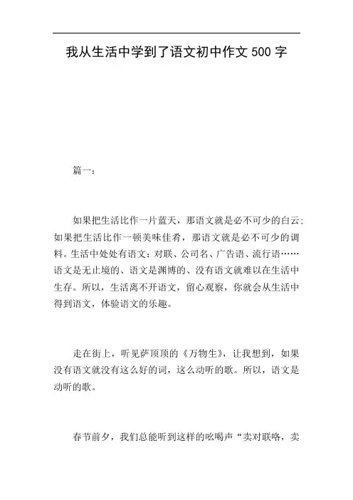 我从生活中学到了语文初中作文500字