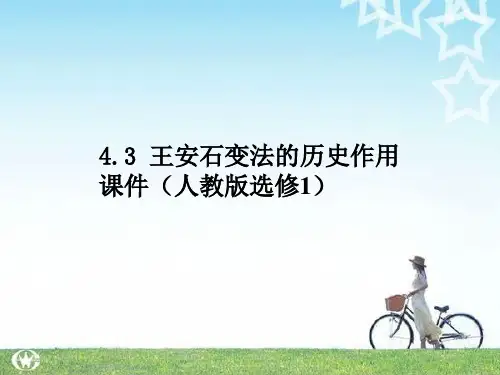 高中历史：4.3 王安石变法的历史作用 课件(人教版选修1)