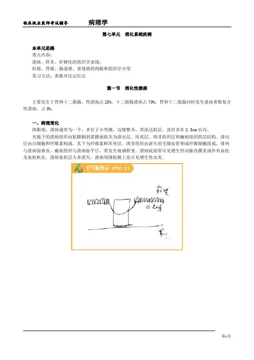 病理学08
