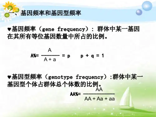 群体的遗传平衡(姜)