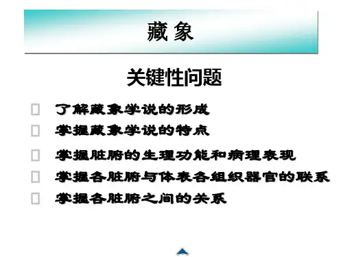 藏象正常人体观之五脏六腑