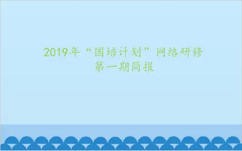 网络研修简报