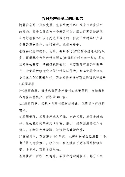 (精编)农村茶产业发展调研报告