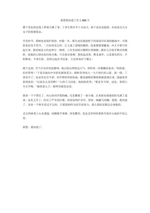 我想我知道了作文600字(优品作文)