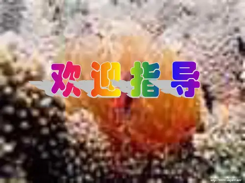 作为粮食的海洋产品