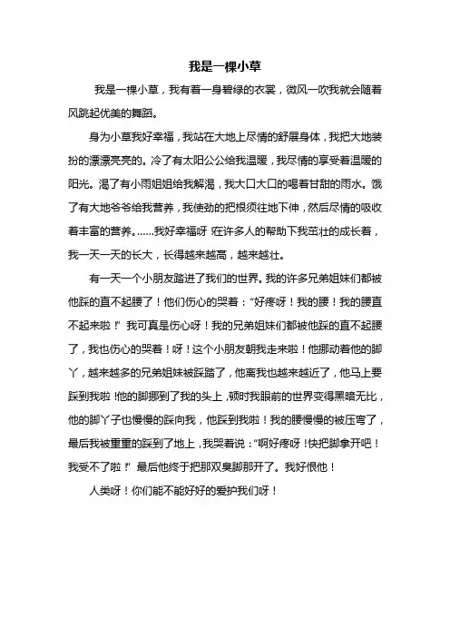想象作文：我是一棵小草作文500字