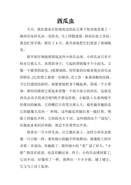 《西瓜虫》小学生满分作文