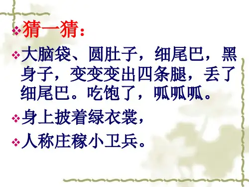 语文S版二年级上册识字一保护庄稼好卫兵