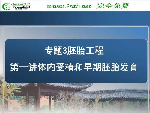高二生物胚胎工程 PPT课件