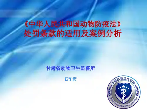 法律条款的适用及案例分析