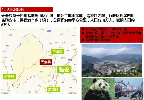 天全县项目市场调查暨产品定位报告PPT课件