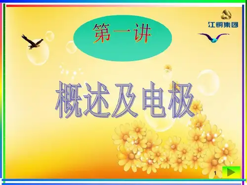 电位滴定终点确定方法共101页文档