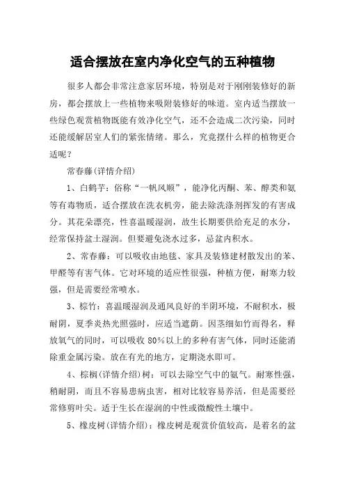 适合摆放在室内净化空气的五种植物