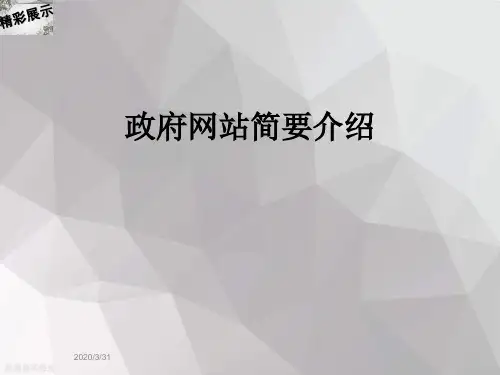 政府网站简要介绍