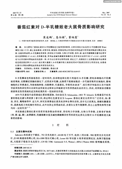 番茄红素对D-半乳糖致老大鼠骨质影响研究